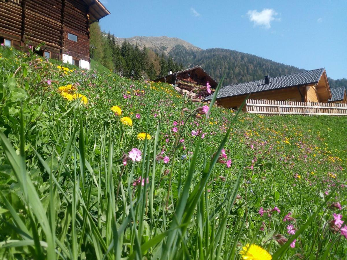 Chalet Niederhaushof Ultimo Exteriör bild